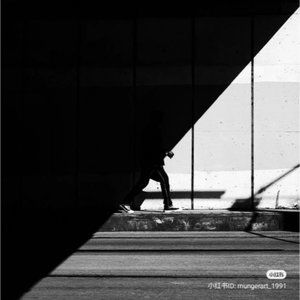 boys 2t shorts bundle